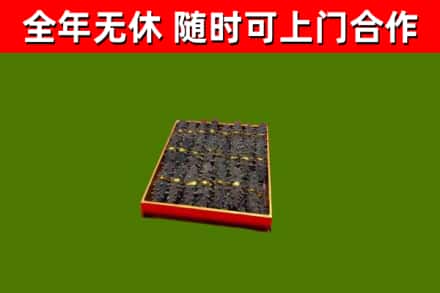 英山县回收海参